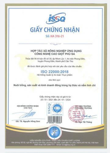 Các loại giấy phép rượu đông trùng hạ thảo